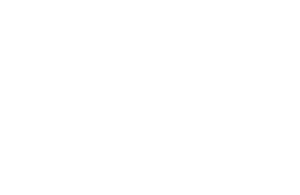 The Norwegian Dental Association